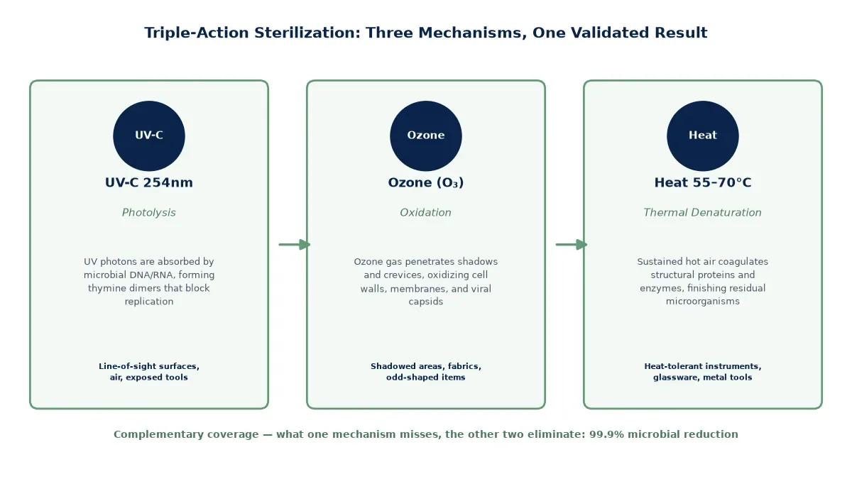 Diagram of triple-action sterilization showing UV-C 254nm photolysis, ozone oxidation, and 55-70°C thermal denaturation covering complementary surfaces